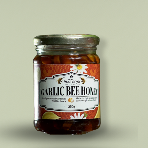 48 Audharya Garlic bee Honey